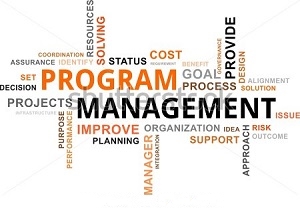 DSMES Program and Business Management Certificate