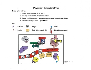 Pathophysiology Educational Tool