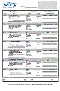 AADE7 Goal Sheets-Spanish (Pack of 100)